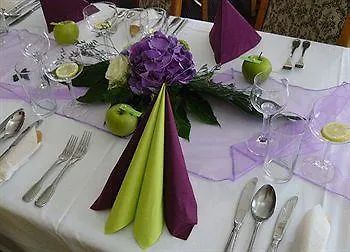 Hotel Napoleon Austerlitz Отель