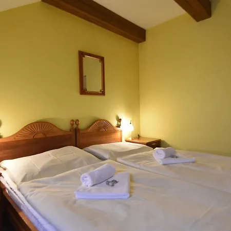 Отель Hotel Napoleon Austerlitz 3*