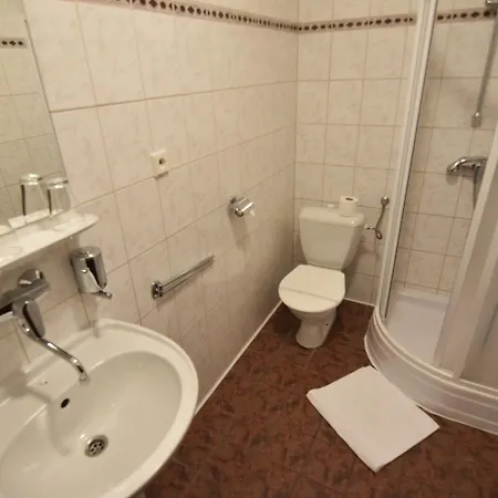 Hotel Napoleon Austerlitz Отель 3*