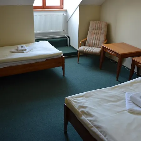 Отель Hotel Napoleon Austerlitz