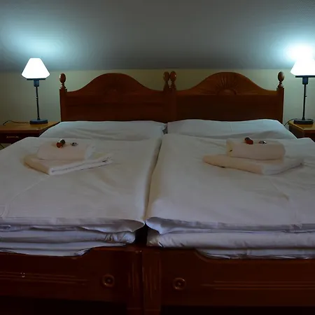 Napoleon 3* Sławków