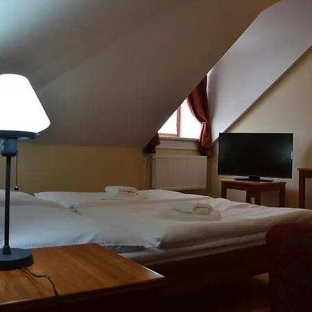 Hotel Napoleon Austerlitz Отель