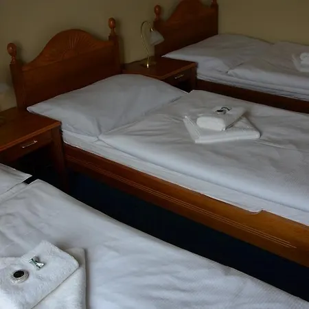 Hotel Napoleon Austerlitz Отель 3*