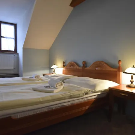 Hotel Napoleon Austerlitz 3*
