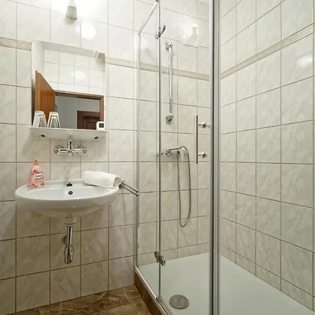 Отель Hotel Napoleon Austerlitz 3*