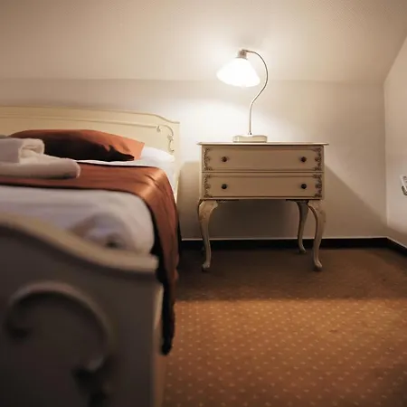 Отель Hotel Napoleon Austerlitz