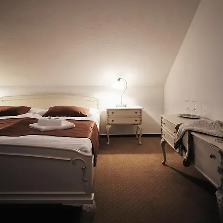 Hotel Napoleon Austerlitz 3*