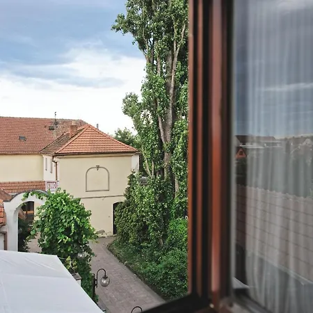 Отель Hotel Napoleon Austerlitz